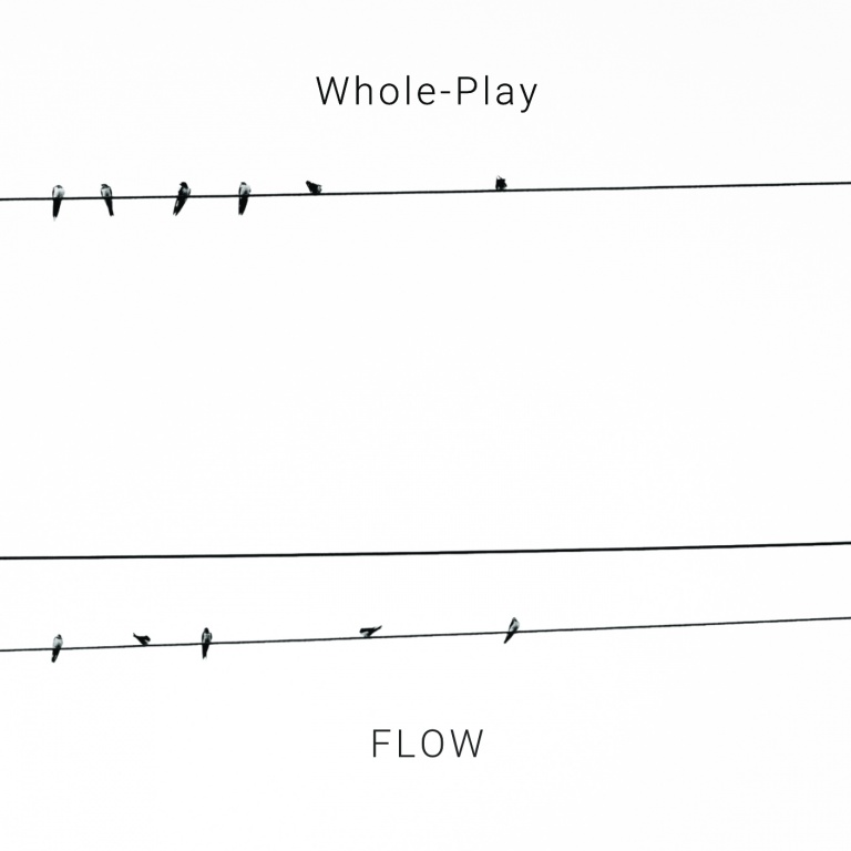 Flow cover